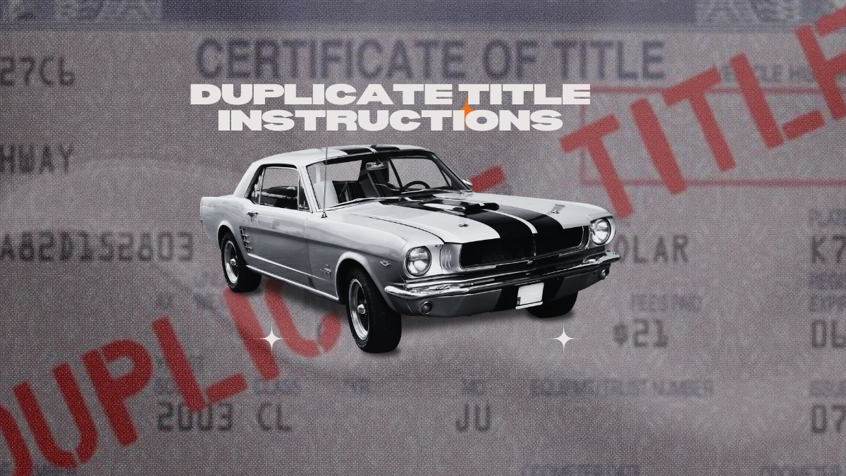 Duplicate Title Instructions